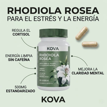 Rhodiola Rosea – Cortisol Alto. Energía Baja. Esto lo Cambia.