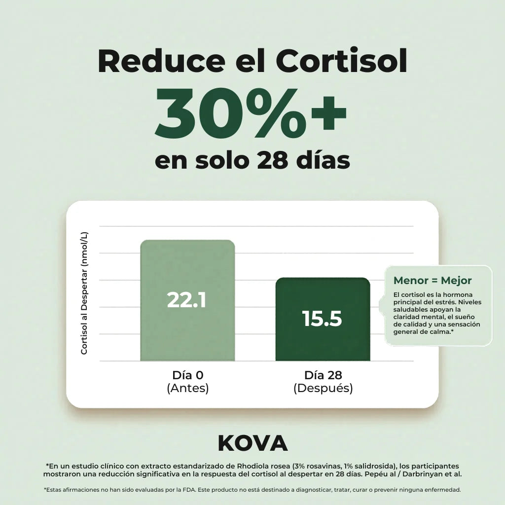 Rhodiola Rosea – Cortisol Alto. Energía Baja. Esto lo Cambia.