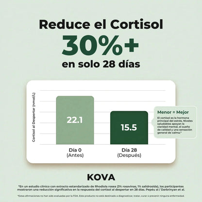 Rhodiola Rosea – Cortisol Alto. Energía Baja. Esto lo Cambia.