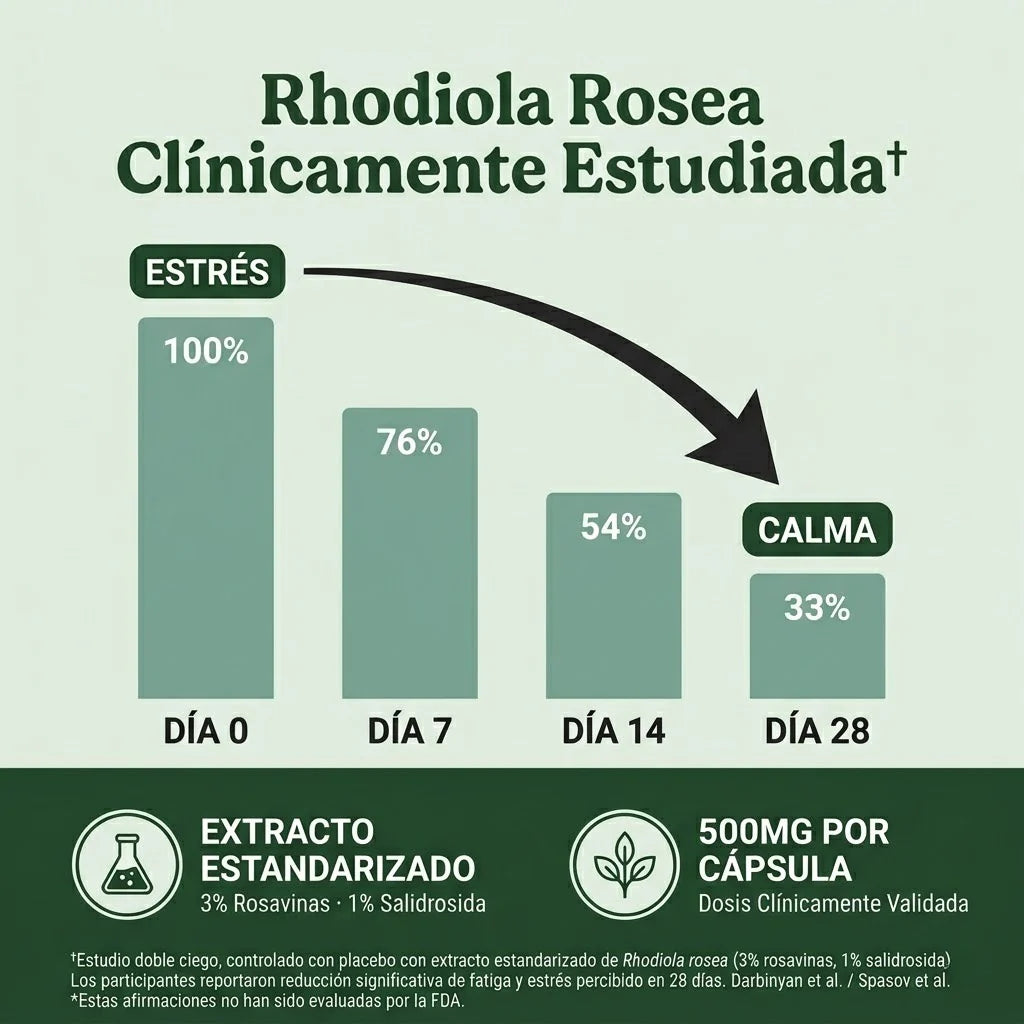 Rhodiola Rosea – Cortisol Alto. Energía Baja. Esto lo Cambia.