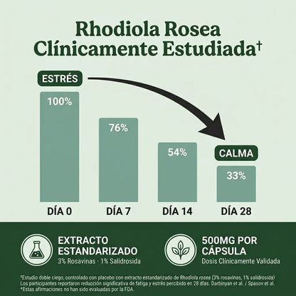 Rhodiola Rosea – Cortisol Alto. Energía Baja. Esto lo Cambia.