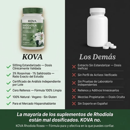 Rhodiola Rosea – Cortisol Alto. Energía Baja. Esto lo Cambia.